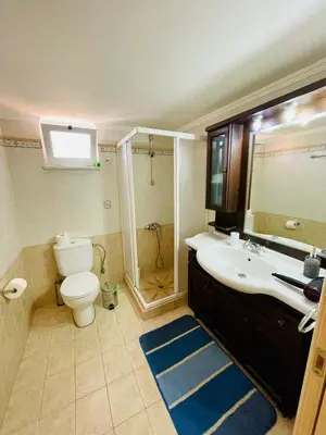 a bathroom with a toilet and a sink and a mirror at Mersini Apartment in Chania Town