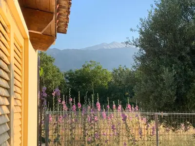 a fence with pink flowers in front of a mountain at VILLA FATIMA in Vryses