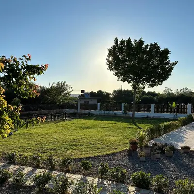 a garden with a tree in the middle of a yard at Katikies Savrani in Perivólia