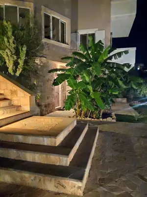 a set of stairs with plants in front of a house at Xenia's countryside guesthouse in Agia Marina Nea Kydonias