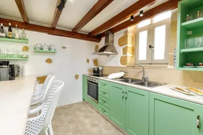 a kitchen with green cabinets and a sink at Mansion Fabrica in Kalleryianá