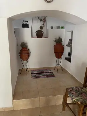 a living room with two plants on the wall at Casa Elafonisi N1- 10min from the beach in Plokamianá