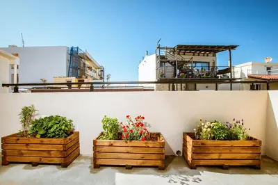 three wooden boxes with plants on a wall at Emeli Suites in Chania Town