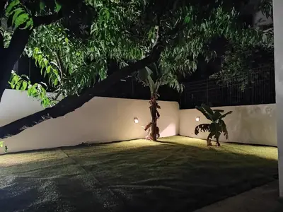 twoizards standing in a yard at night at Callisto in Chania Town