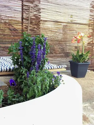 a flower bed with purple flowers and plants at Livingfy Apt with mountain view & garden in Vamos