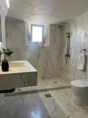 a bathroom with a shower and a sink and a toilet at Christina_Apt in Chania Town