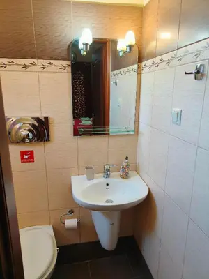a bathroom with a sink and a toilet at Pazinos/Neveli Cottage in Galangádhos