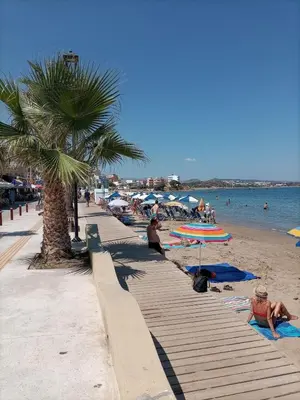 a beach with people laying on the sand and a palm tree at Casa Lion in Chania Town