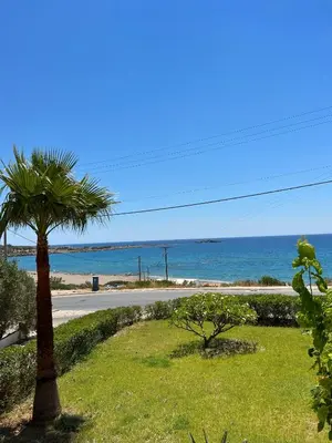 a palm tree on the side of a road near the ocean at Vista Mare in Palaiochóra