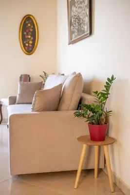 a couch with a potted plant on a table at Manos Home in Spiliá