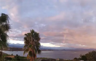 a view of a body of water with palm trees at Nostalgia Villas in Tersanas
