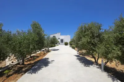 a walkway with trees in front of a white building at Elixsea Villa - Unlimited view of the Blue sea in Kounoupidhianá