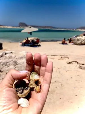 a person holding a shell in their hand on a beach at CASA di LIMONI in Kissamos