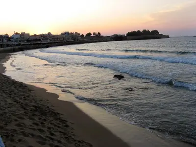 a beach with a dog walking in the water at La 'belle Luxury House Chania in Chania Town