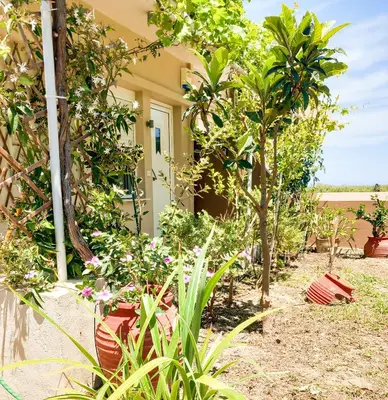 a garden in front of a house with trees and flowers at Yucca Studio, beautiful apartment with garden in Ropanianá