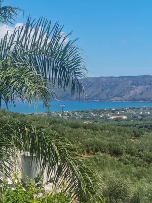 a view of the ocean and a palm tree at Villa Vanessa in Kissamos