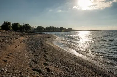 a beach with footprints in the sand and water at Alexandros Luxury House in Falasarna