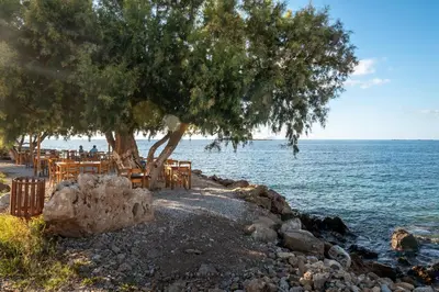 a beach with tables and chairs under a tree at Alexandros Luxury House in Falasarna