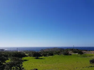 a field of green grass with the ocean in the background at Elafonisi Vacation Blue Apartment in Agios Padeleimon