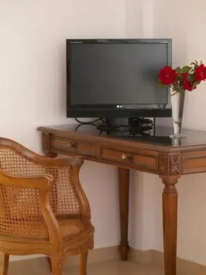 a television on a wooden table with a vase of flowers at The Garden of Zephyrus - East in Pithárion