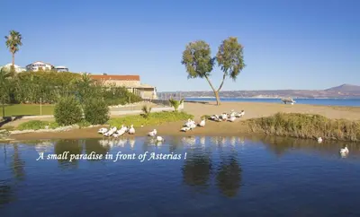 a bunch of birds sitting on a body of water at Asterias Studios & Apartments in Kalyves