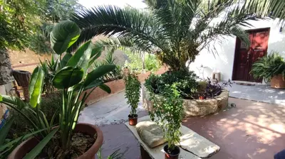 a courtyard with a bunch of plants in pots at Dominic Central Venetian Castle Old Port Apartment in Chania Town