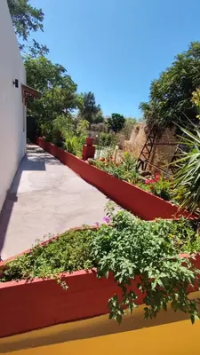 a garden outside a house with flowers at Dominic Central Venetian Castle Old Port Apartment in Chania Town