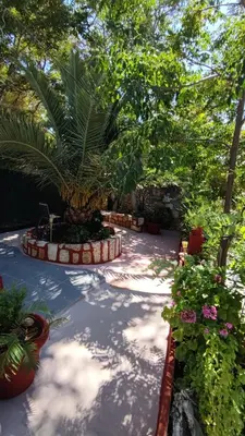 a garden with a palm tree and some plants at Dominic Central Venetian Castle Old Port Apartment in Chania Town