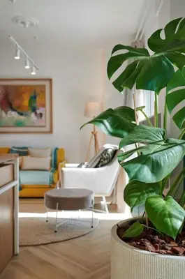 a living room with a chair and a plant at KaiZen Chania - New Central Apartment Just 350m Away With Private Jacuzzi and free parking! in Chania Town