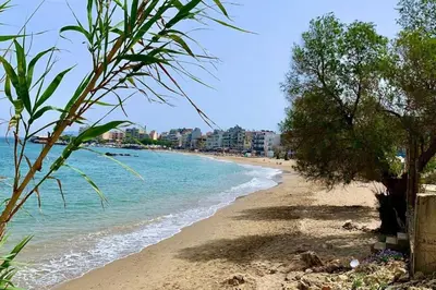 a sandy beach with trees and the ocean at Cozy Val in Chania Town