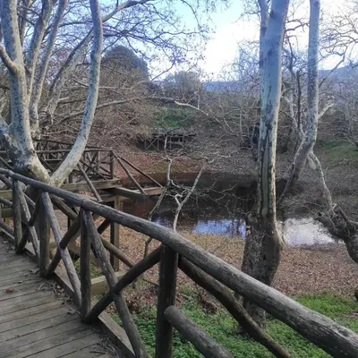a wooden bridge over a river next to a forest at Alexander's cottage in Límni