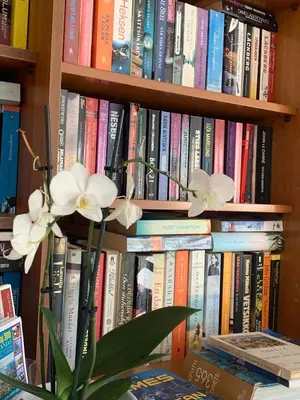 a book shelf filled with books with white flowers at Ermis Suites in Plataniás