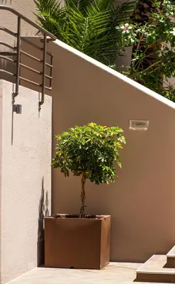 a plant in a pot on the side of a building at Kriti Hotel in Chania Town
