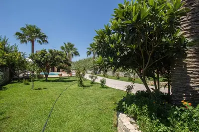 a garden with a palm tree and a pathway at Erodios Villas 2 in Ptinotrofíon