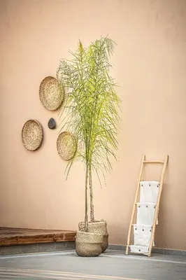 a plant in a wicker basket next to a ladder at Sea View Hotel & Apartments in Kato Daratso