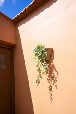 a plant in a pot on the side of a building at Suite Maritime in Chania Town