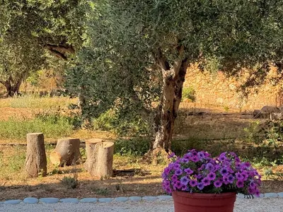 a pot of purple flowers in front of a tree at Thelma and Louise house in Mourniaí