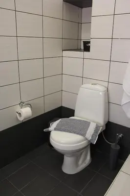 a bathroom with a toilet with a rug on the seat at Evanthea Residence in Kounoupidhianá