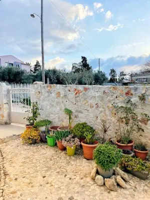 a bunch of potted plants in front of a stone wall at Kathiana cozy apartment in Kathiana