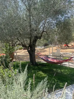 a hammock hanging from a tree in a field at DOLONAS Cosy House in Aliyoí