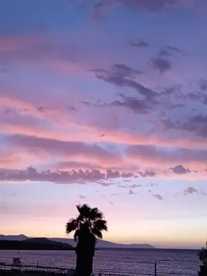 a palm tree in front of the ocean at sunset at Sun Beach Apartment in Chania 15 in Chania Town