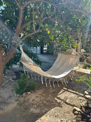 a hammock hanging from a tree in a garden at Fanouria's home in Kalleryianá