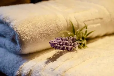 a purple flower sitting on top of a pillow at Metochi Traditional House in Chania Town
