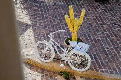 a white bike parked next to a potted plant at The Botanist Rooms, Ritzou in Chania Town