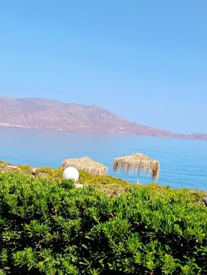 a view of a body of water with a grass field at Cretan cottage of 1900 with beautiful olive yard in Kissamos
