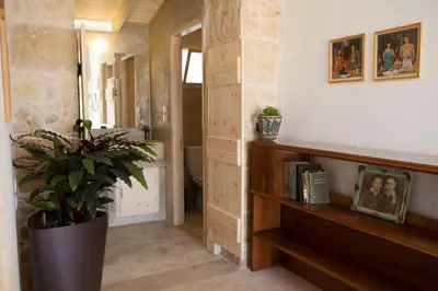 a hallway with a potted plant in a room at Cretan cottage of 1900 with beautiful olive yard in Kissamos