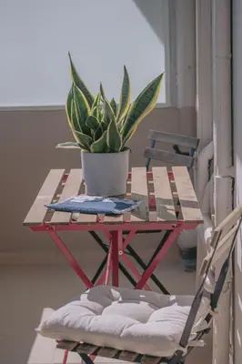 a table with a potted plant on top of it at Summer Blue Apartments Chania in Chania Town