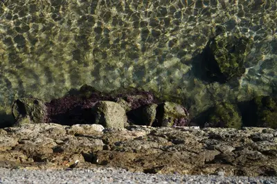 a group of rocks under the water on the beach at Lindas Convent Garden Home 2 in Chania Town